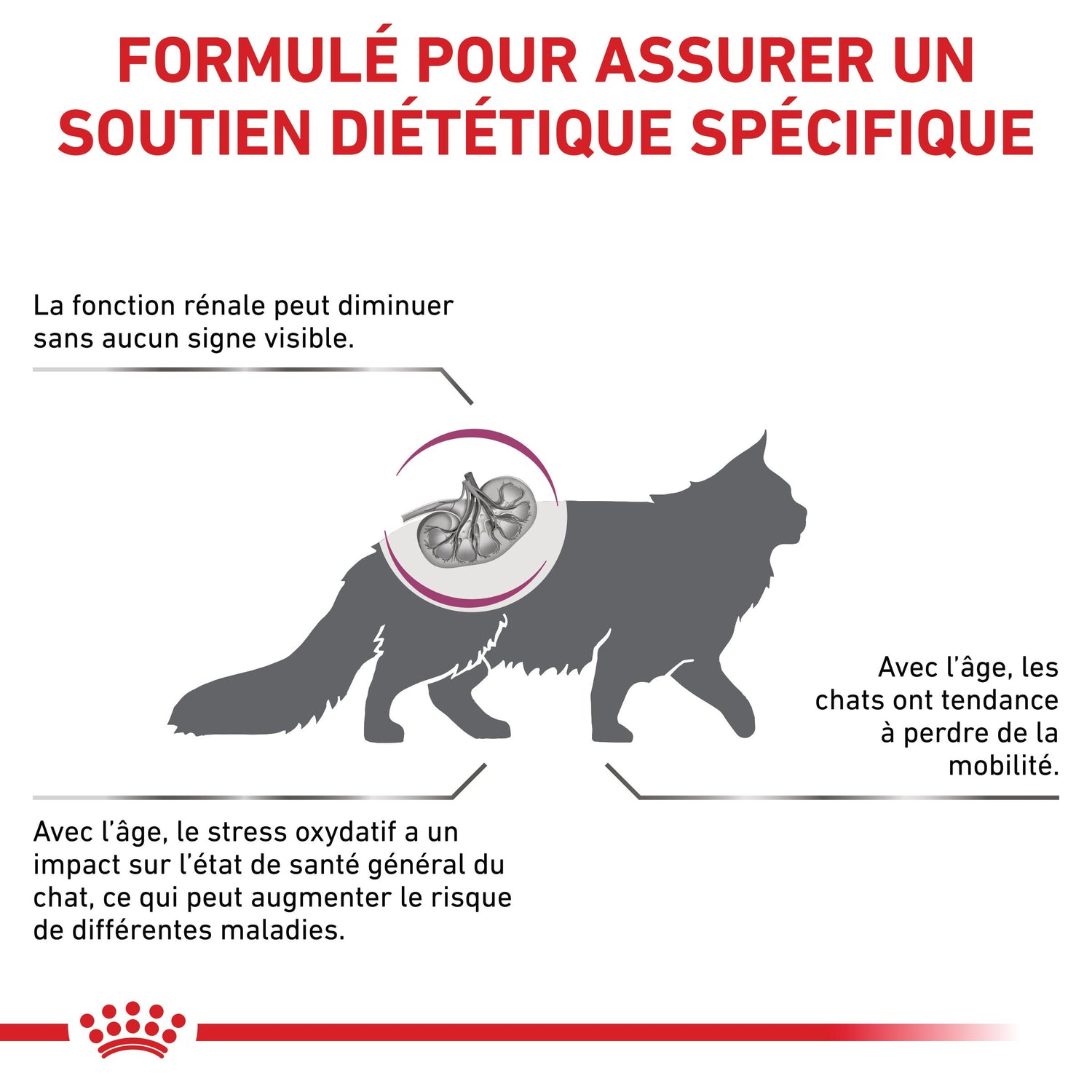 Royal Canin Veterinary Early Renal - aliment chat