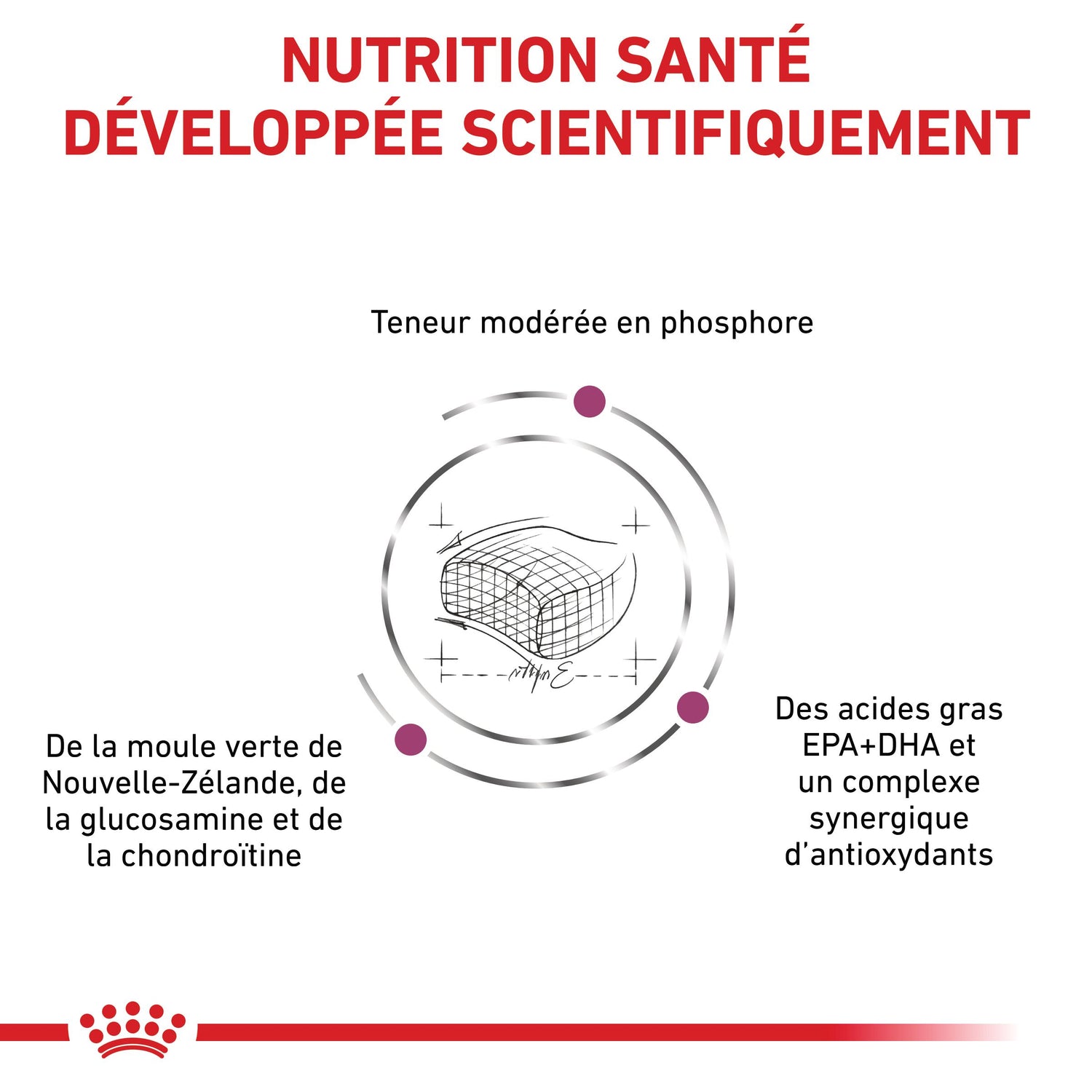 Royal Canin Veterinary Early Renal - aliment chat