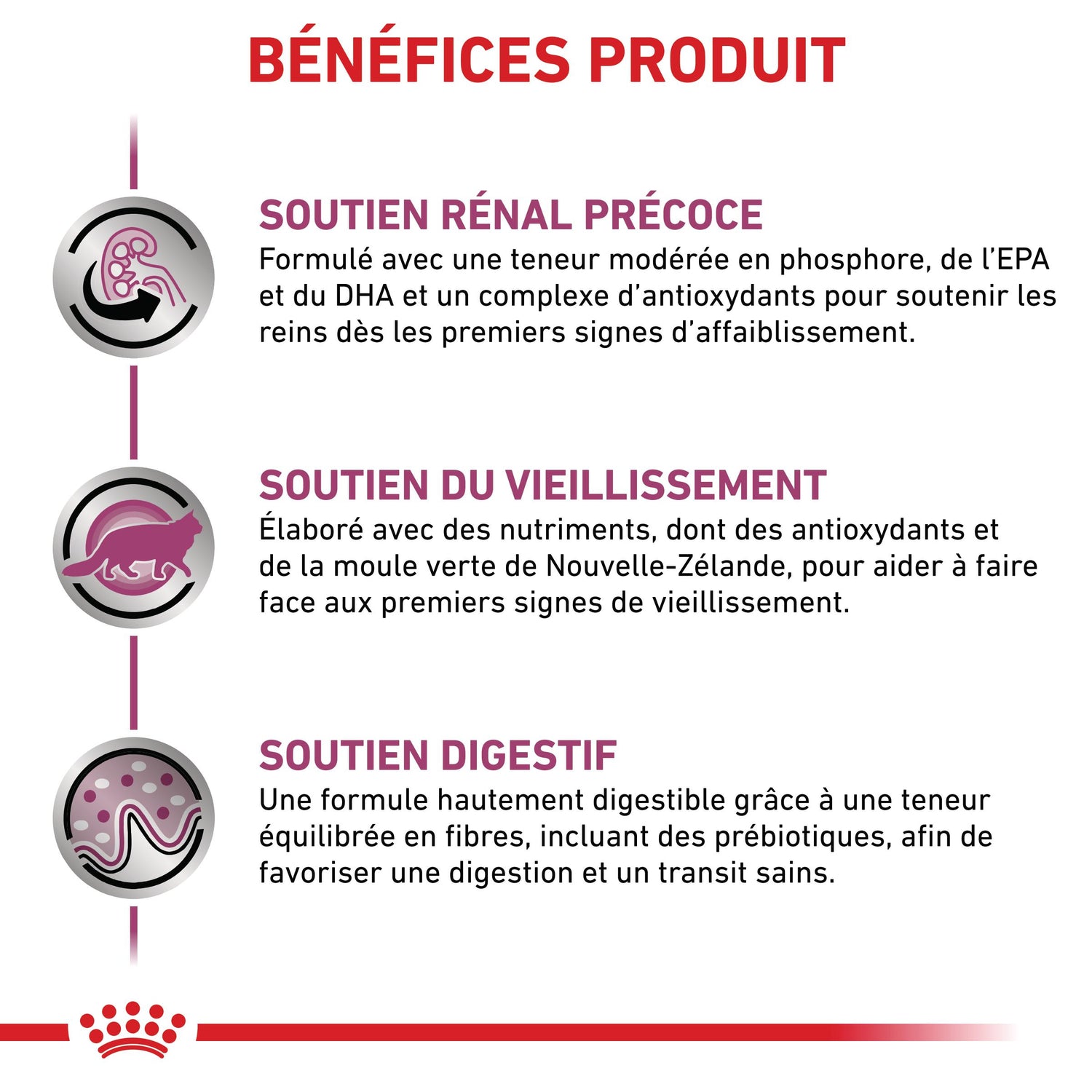 Royal Canin Veterinary Early Renal - aliment chat