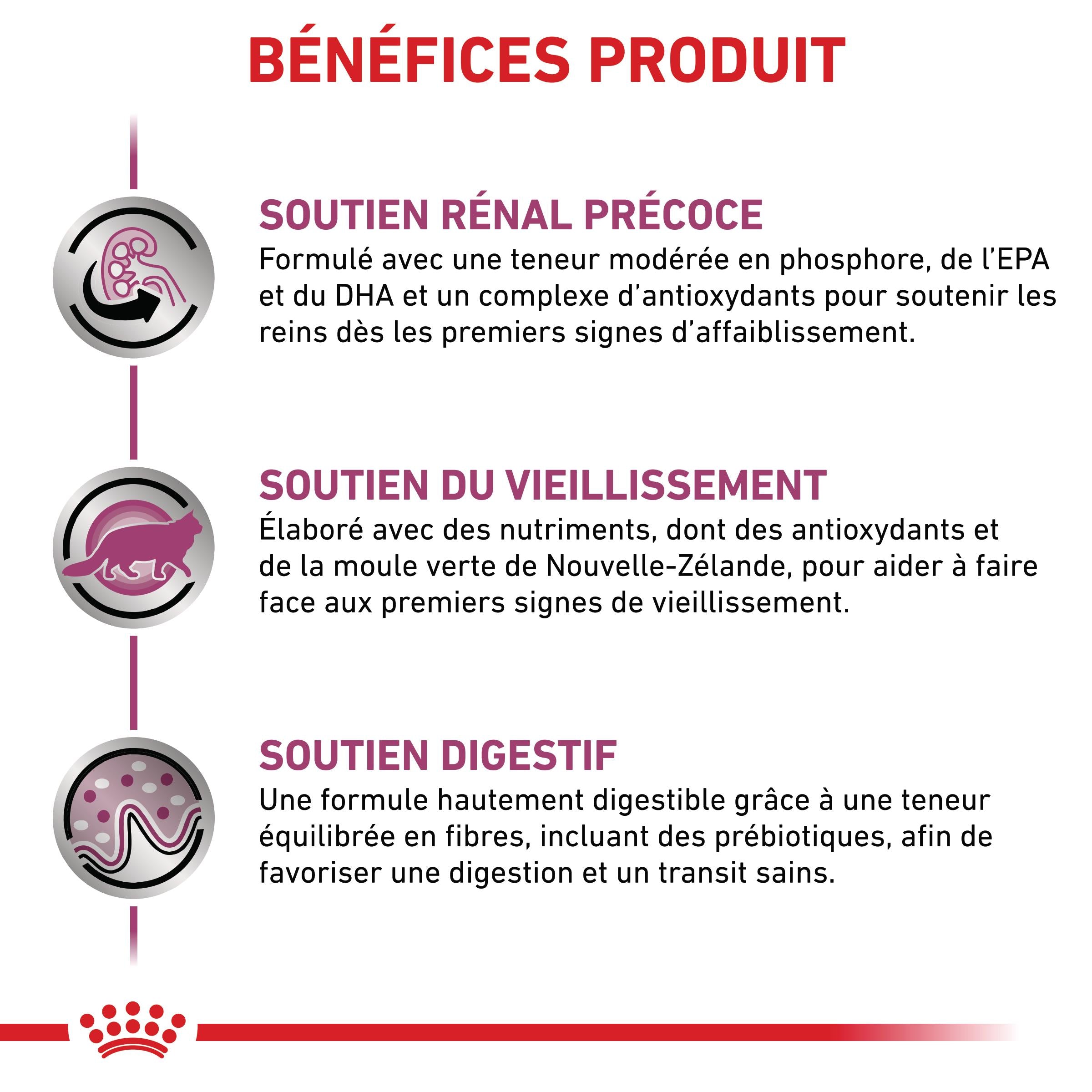 Royal Canin Veterinary Early Renal - aliment chat