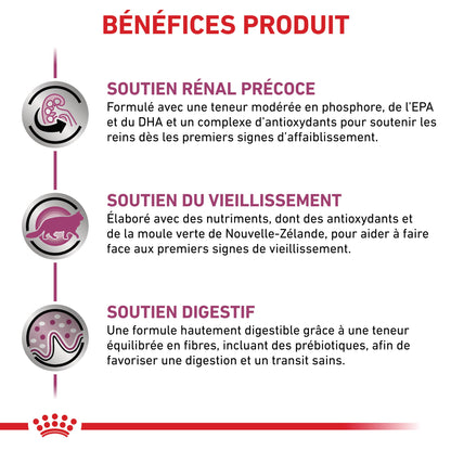 Royal Canin Veterinary Early Renal - aliment chat