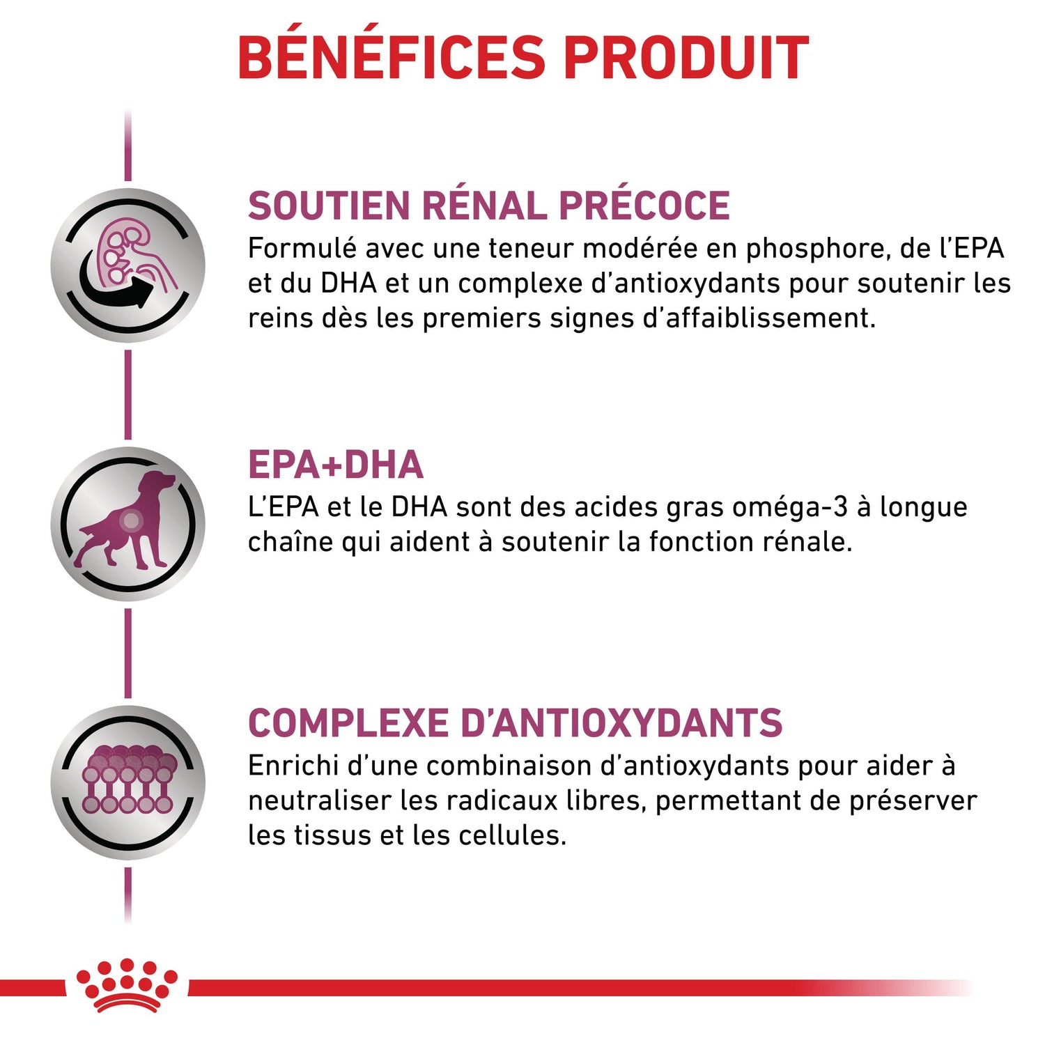 Royal Canin Early Renal - pâtée chien