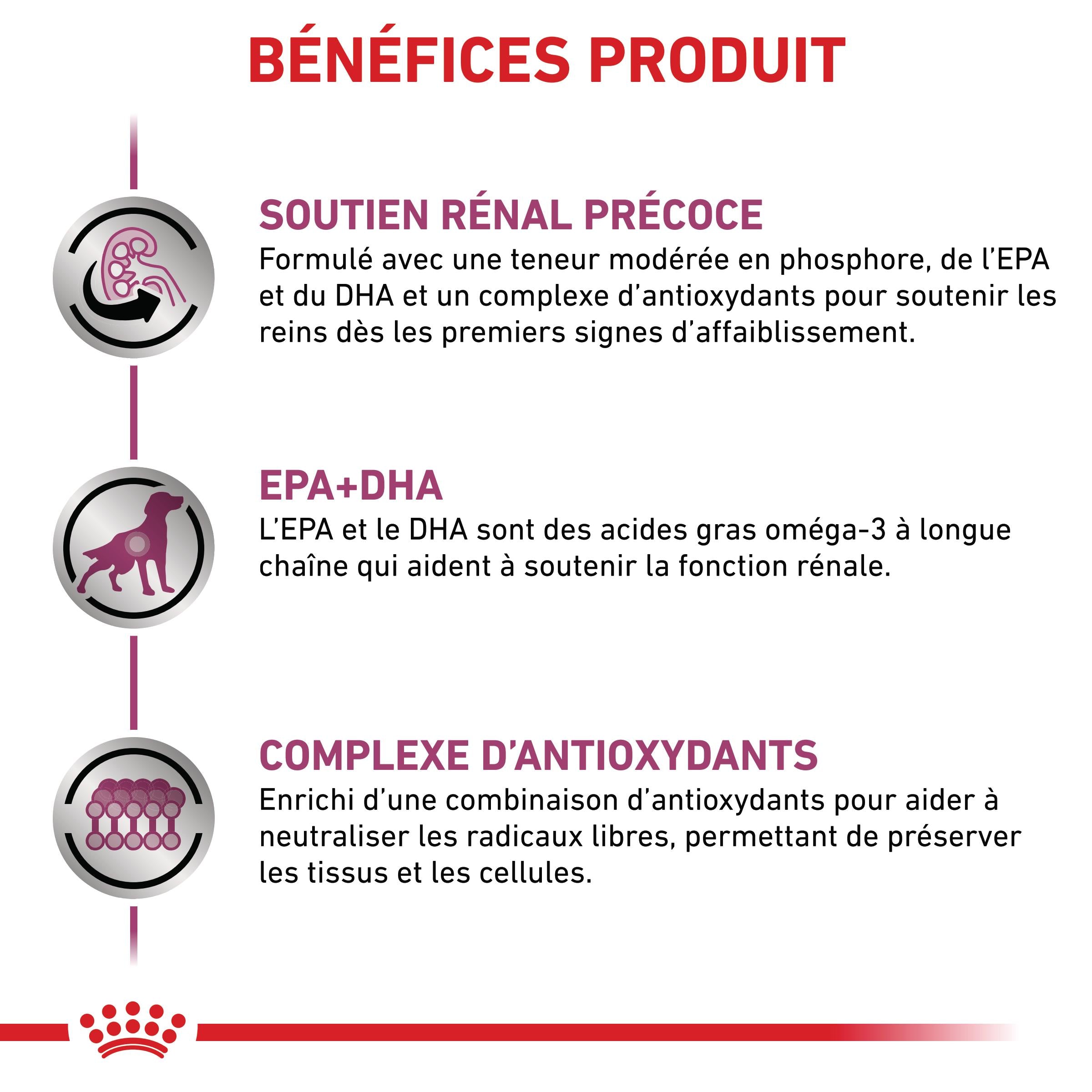 Royal Canin Early Renal - pâtée chien