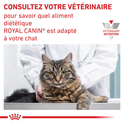 Royal Canin Veterinary Urinary S/O - aliment chat