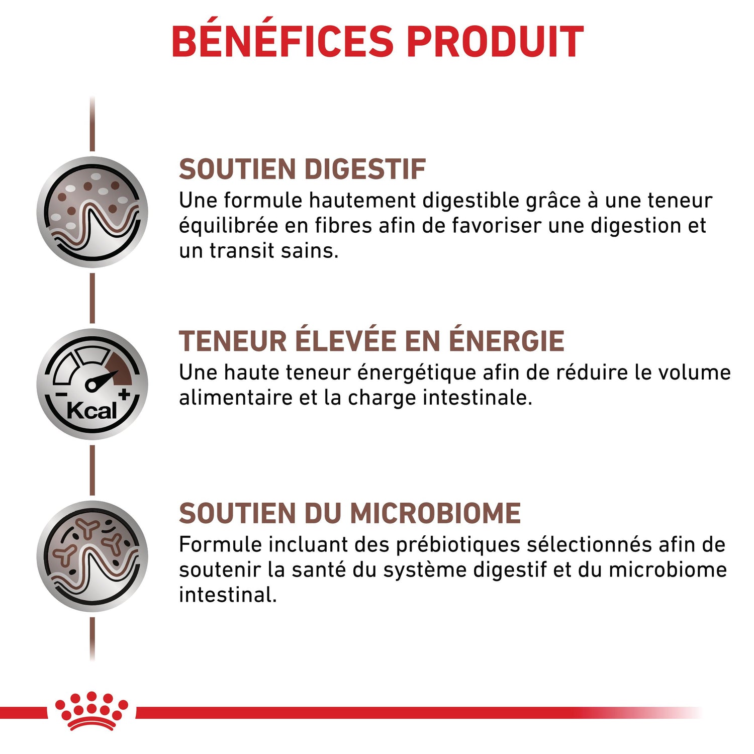 Royal Canin Veterinary Gastrointestinal - croquettes chat