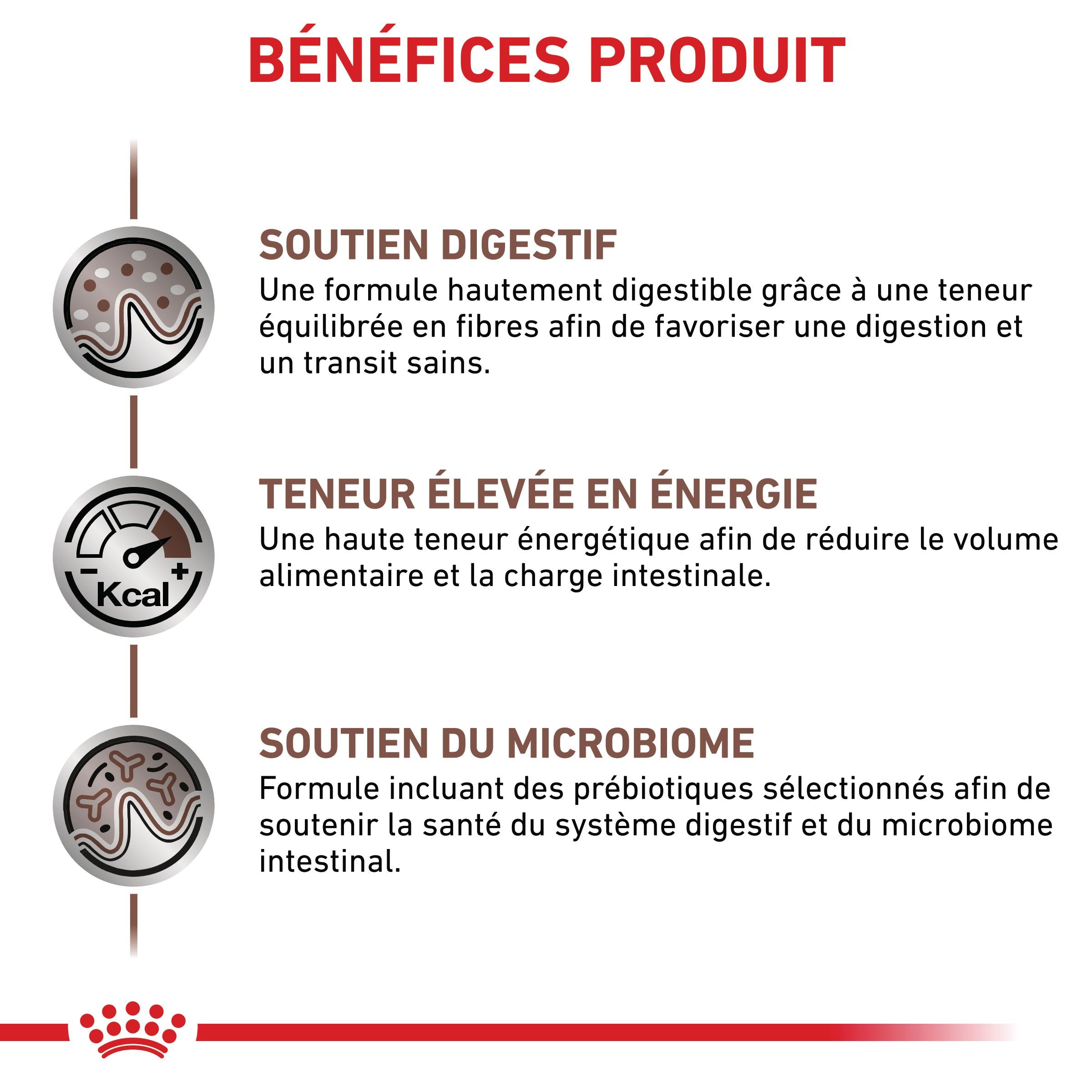 Royal Canin Veterinary Gastrointestinal - croquettes chat