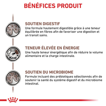 Royal Canin Veterinary Gastrointestinal - croquettes chat