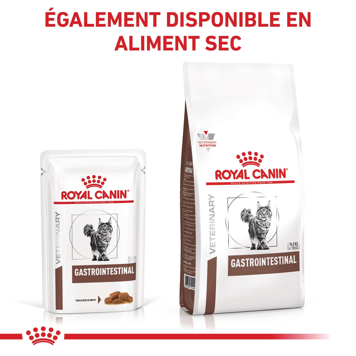 Royal Canin Veterinary Gastrointestinal - croquettes chat