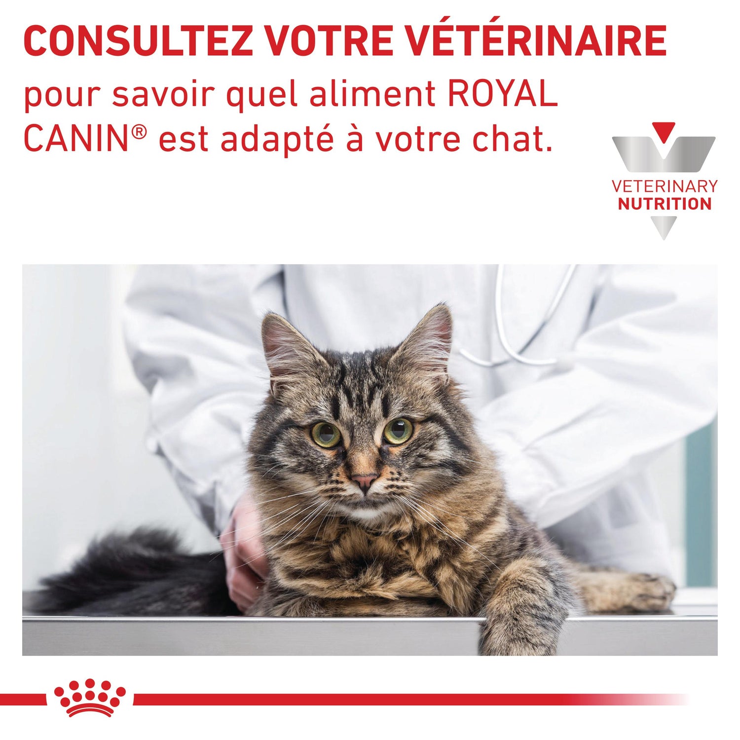 Royal Canin Veterinary Gastrointestinal - croquettes chat