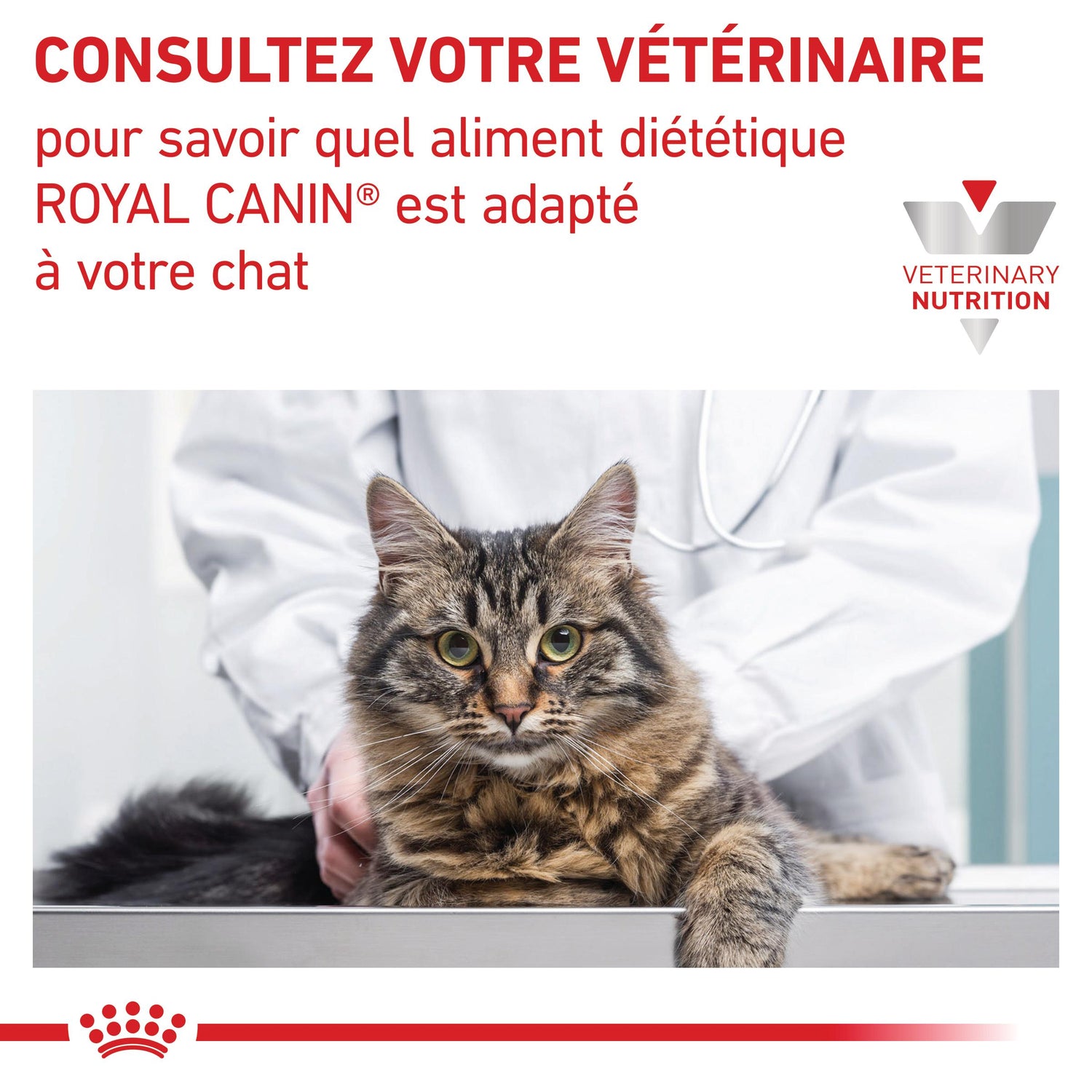 Royal Canin Veterinary Gastrointestinal Kitten - aliment chaton