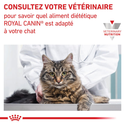 Royal Canin Veterinary Gastrointestinal Kitten - aliment chaton