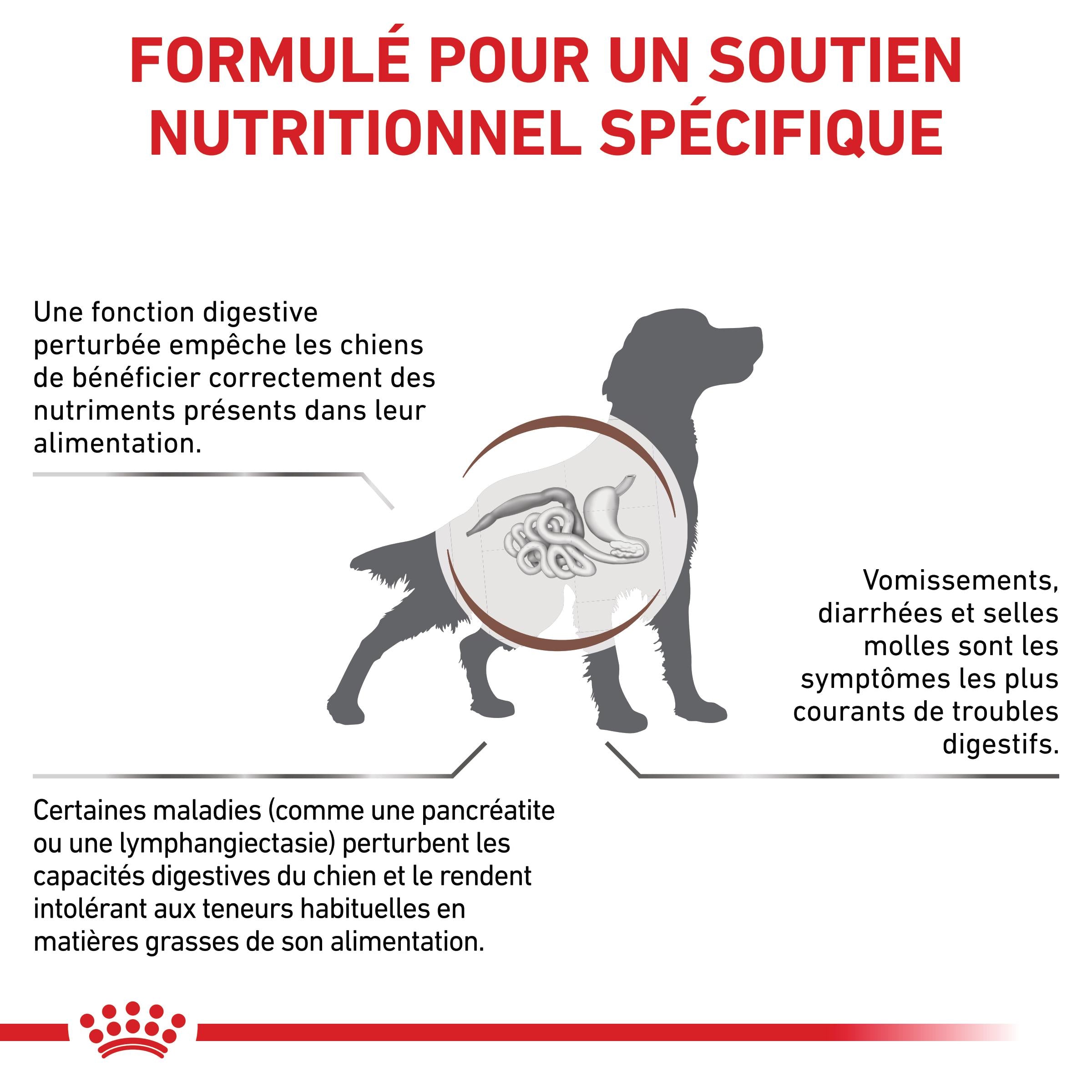 Royal Canin Veterinary Gastrointestinal Low Fat - croquettes chien