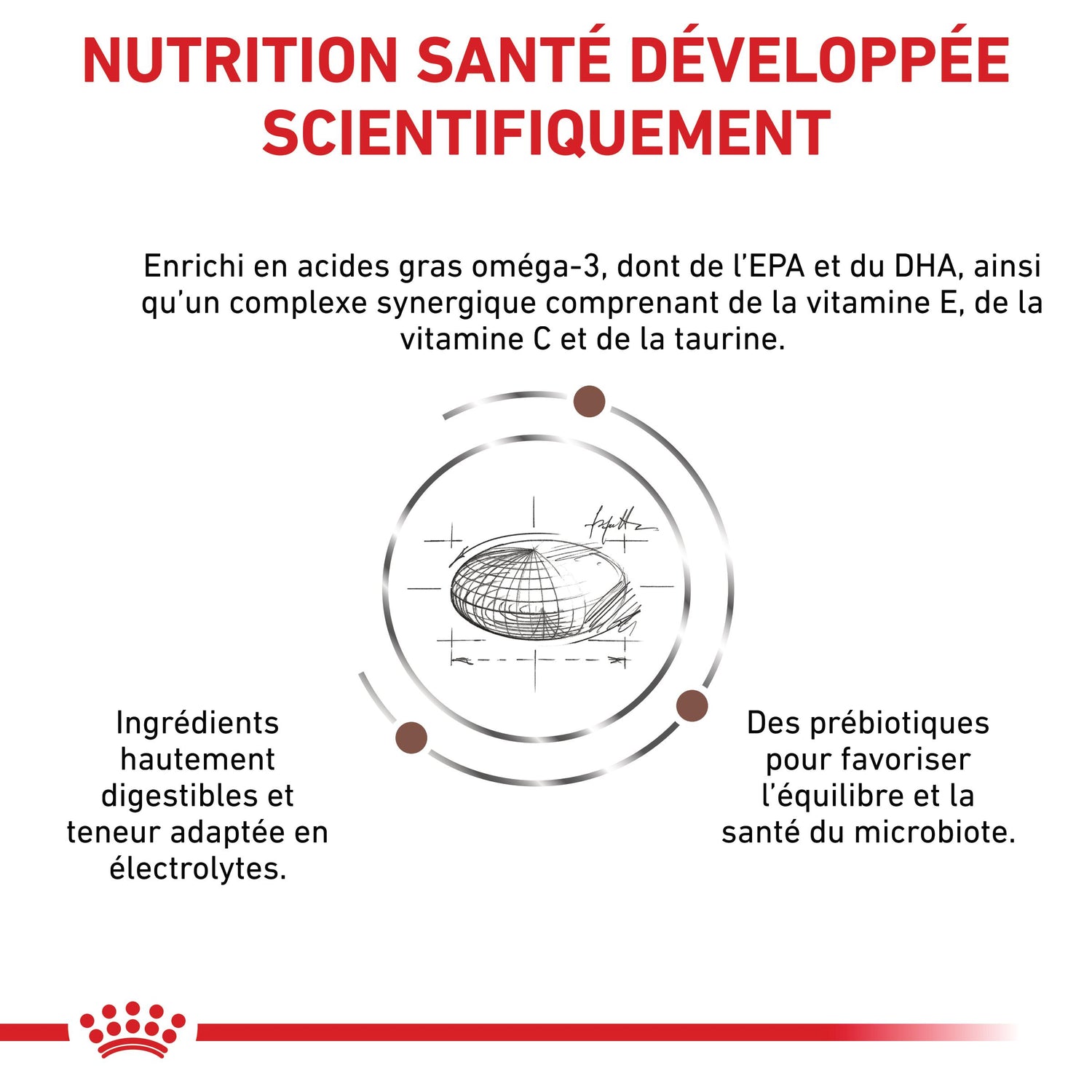 Royal Canin Veterinary Gastrointestinal Low Fat - croquettes chien