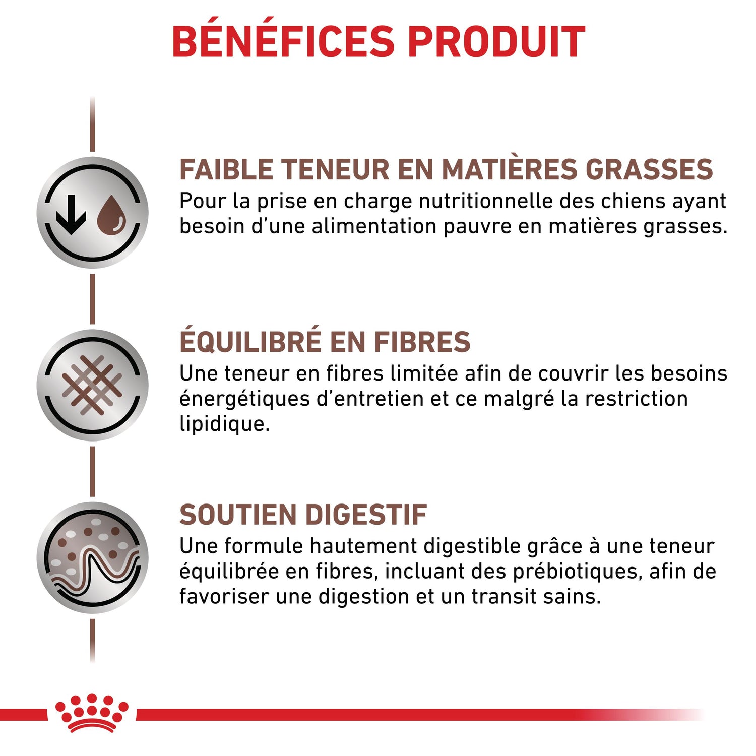 Royal Canin Veterinary Gastrointestinal Low Fat - croquettes chien