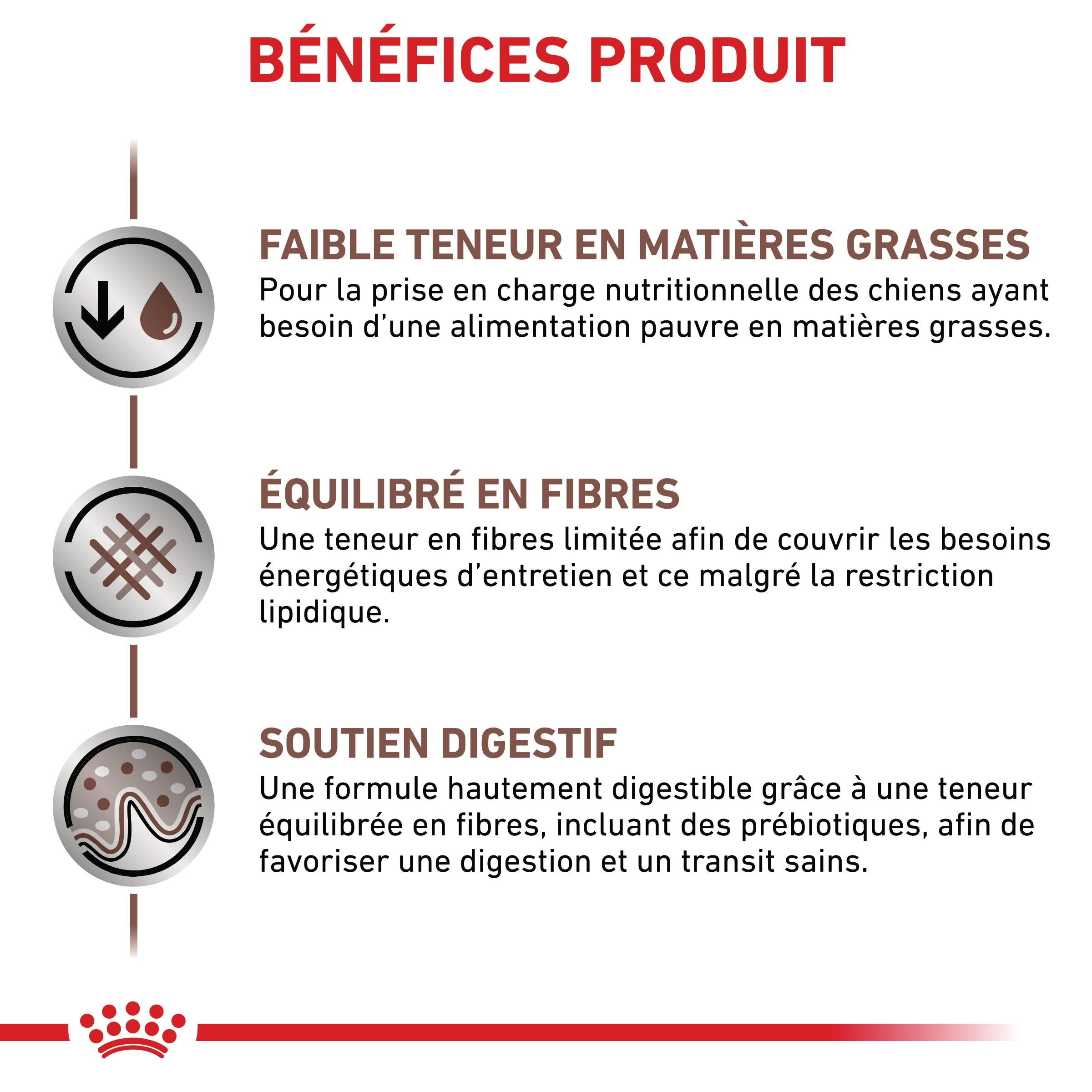 Royal Canin Veterinary Gastrointestinal Low Fat - croquettes chien