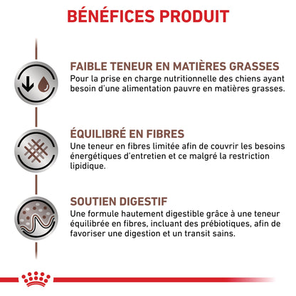 Royal Canin Veterinary Gastrointestinal Low Fat - croquettes chien