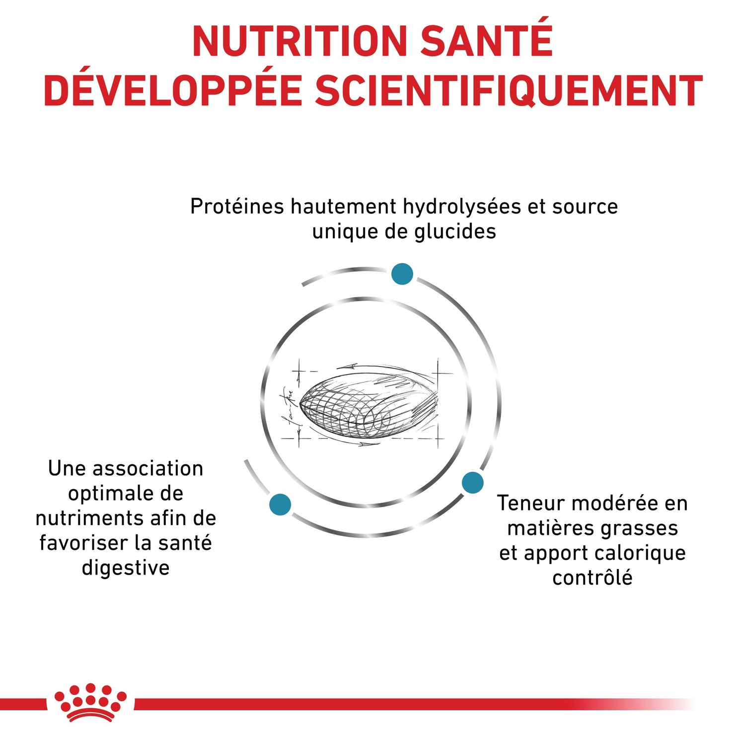 Royal Canin Veterinary Hypoallergenic Moderate Calorie - croquettes chien