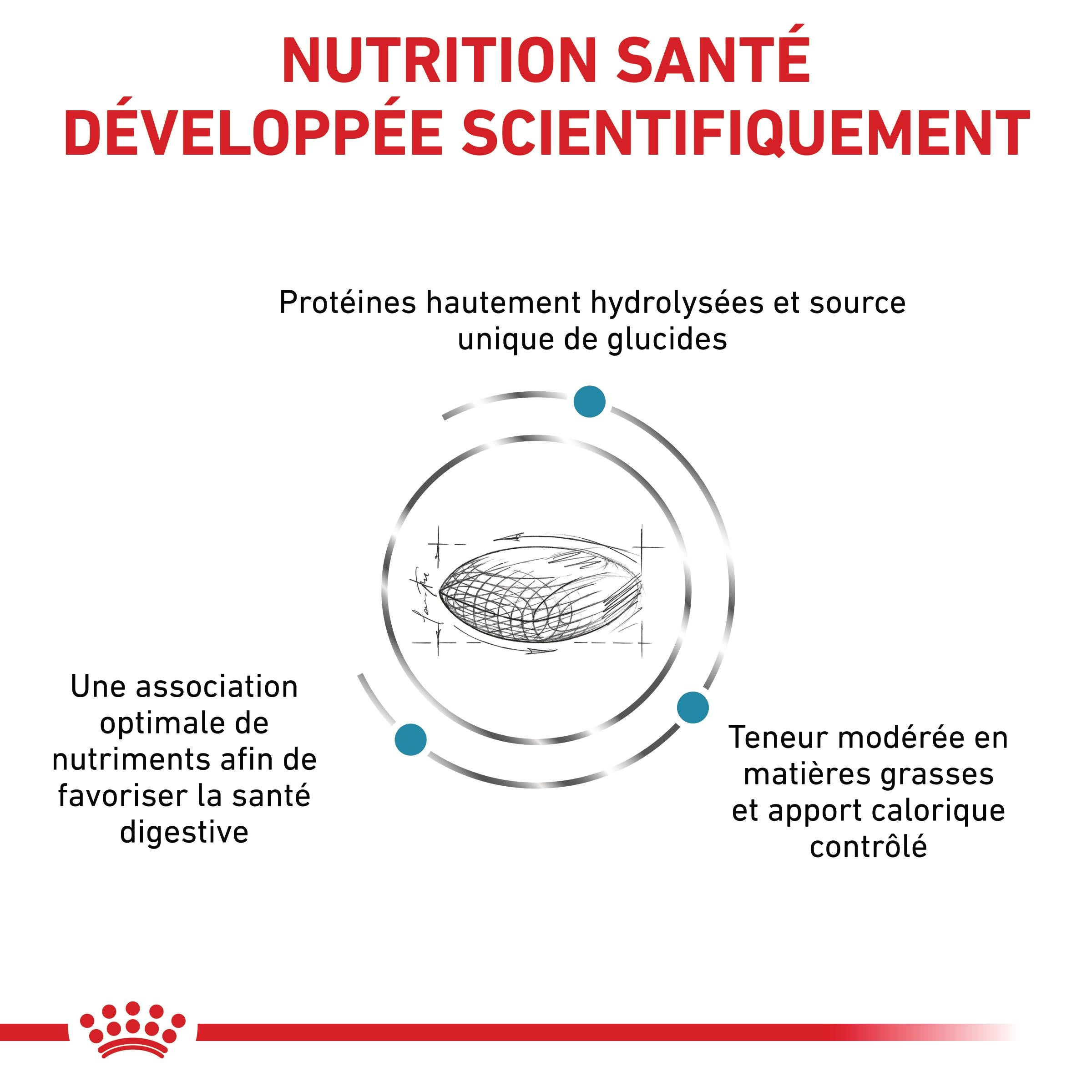 Royal Canin Veterinary Hypoallergenic Moderate Calorie - croquettes chien