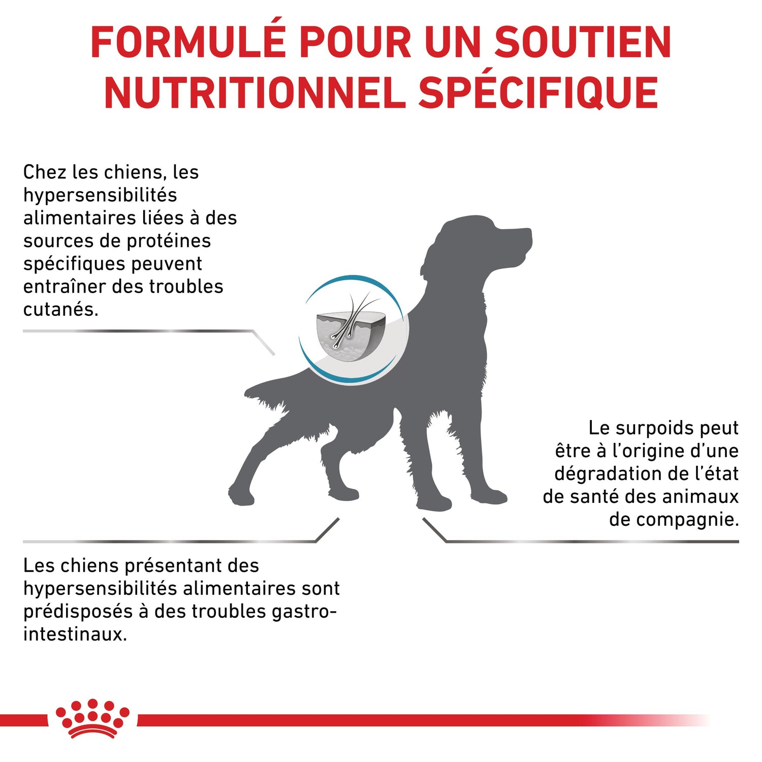 Royal Canin Veterinary Hypoallergenic Moderate Calorie - croquettes chien