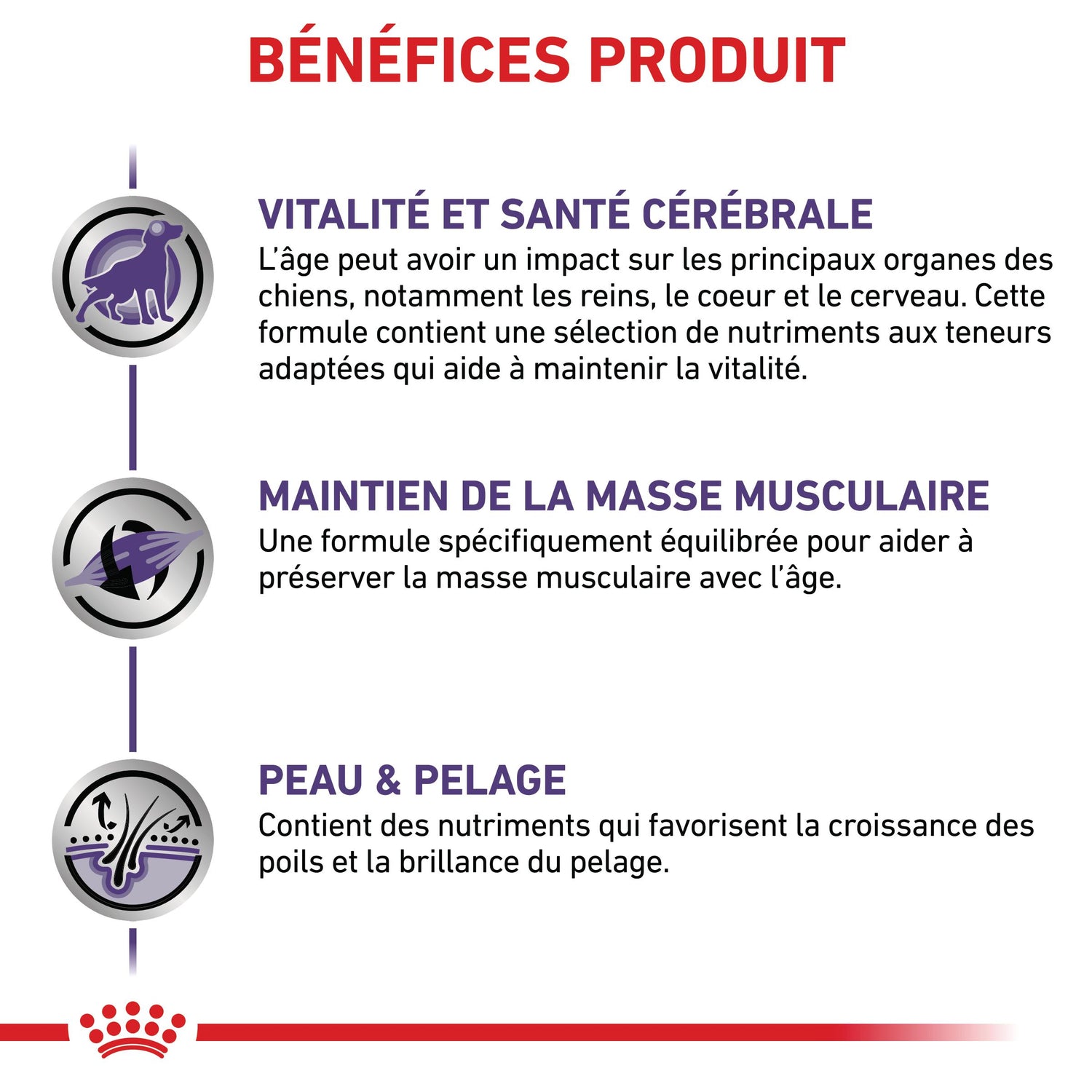 Royal Canin Veterinary Dog Mature Consult - pâtée chien