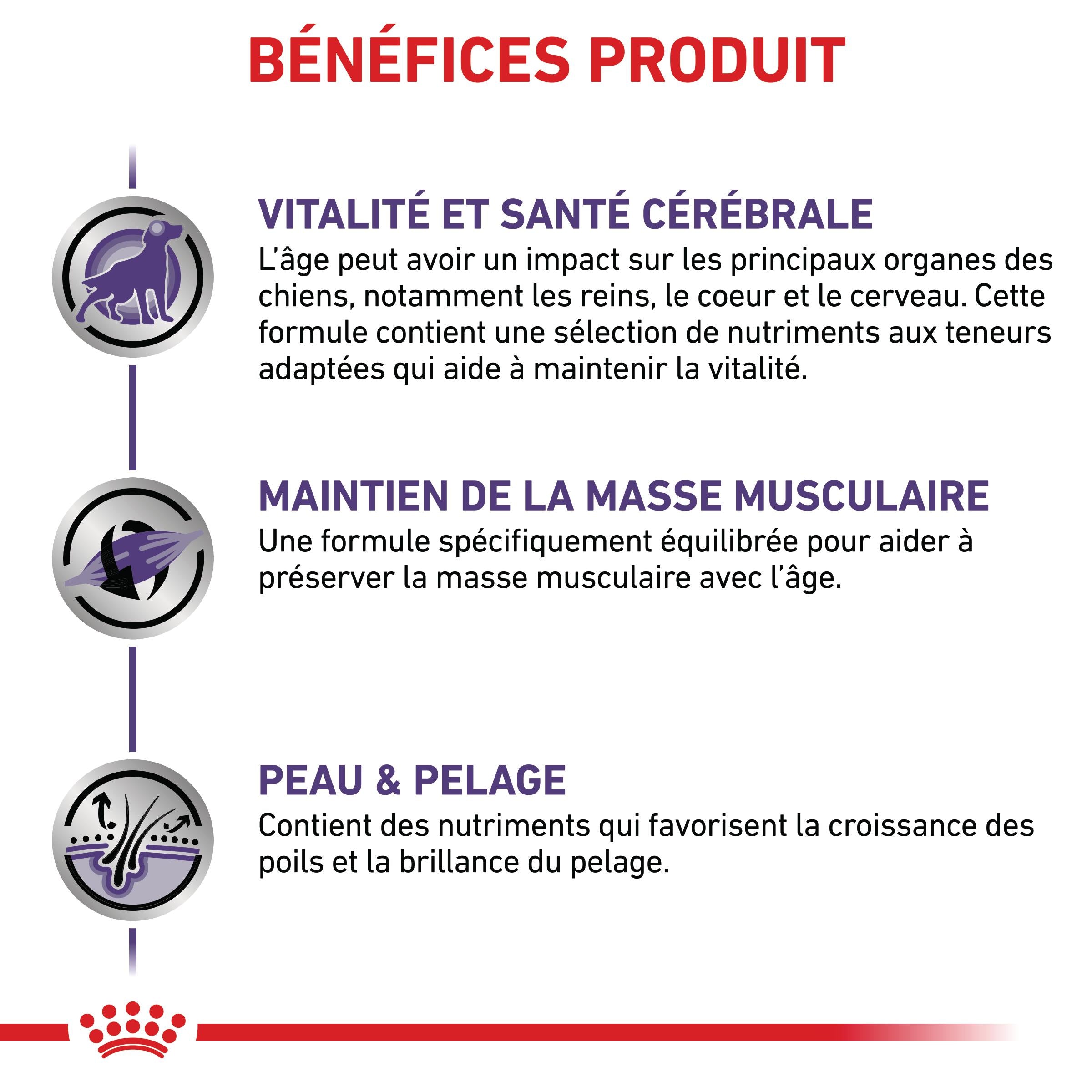 Royal Canin Veterinary Dog Mature Consult - pâtée chien