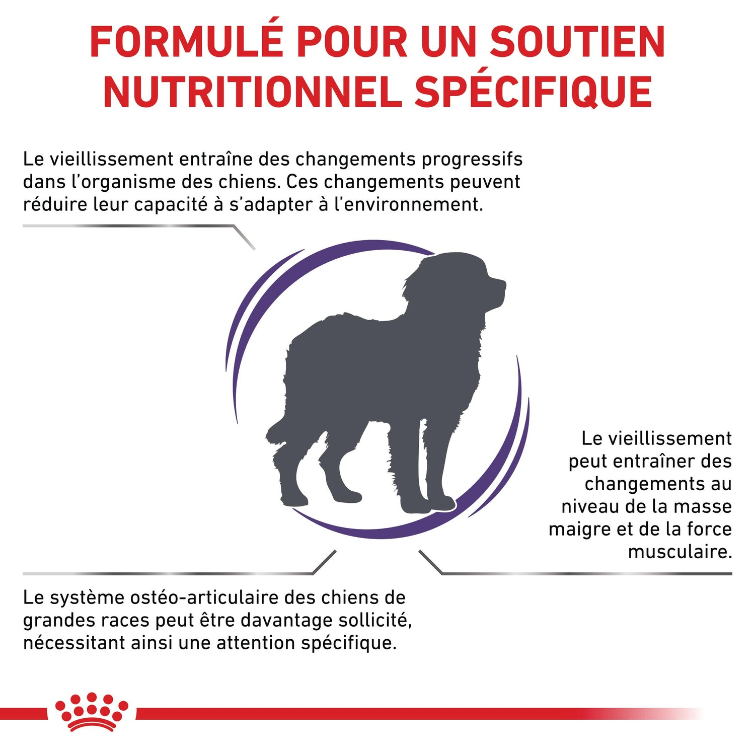 Royal Canin Vet Care Mature Large Dog - croquettes chien