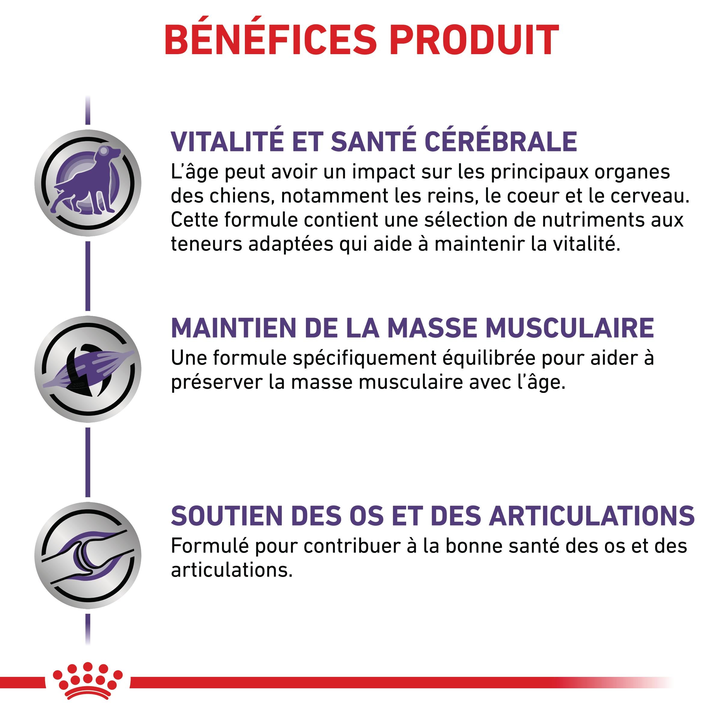 Royal Canin Vet Care Mature Large Dog - croquettes chien