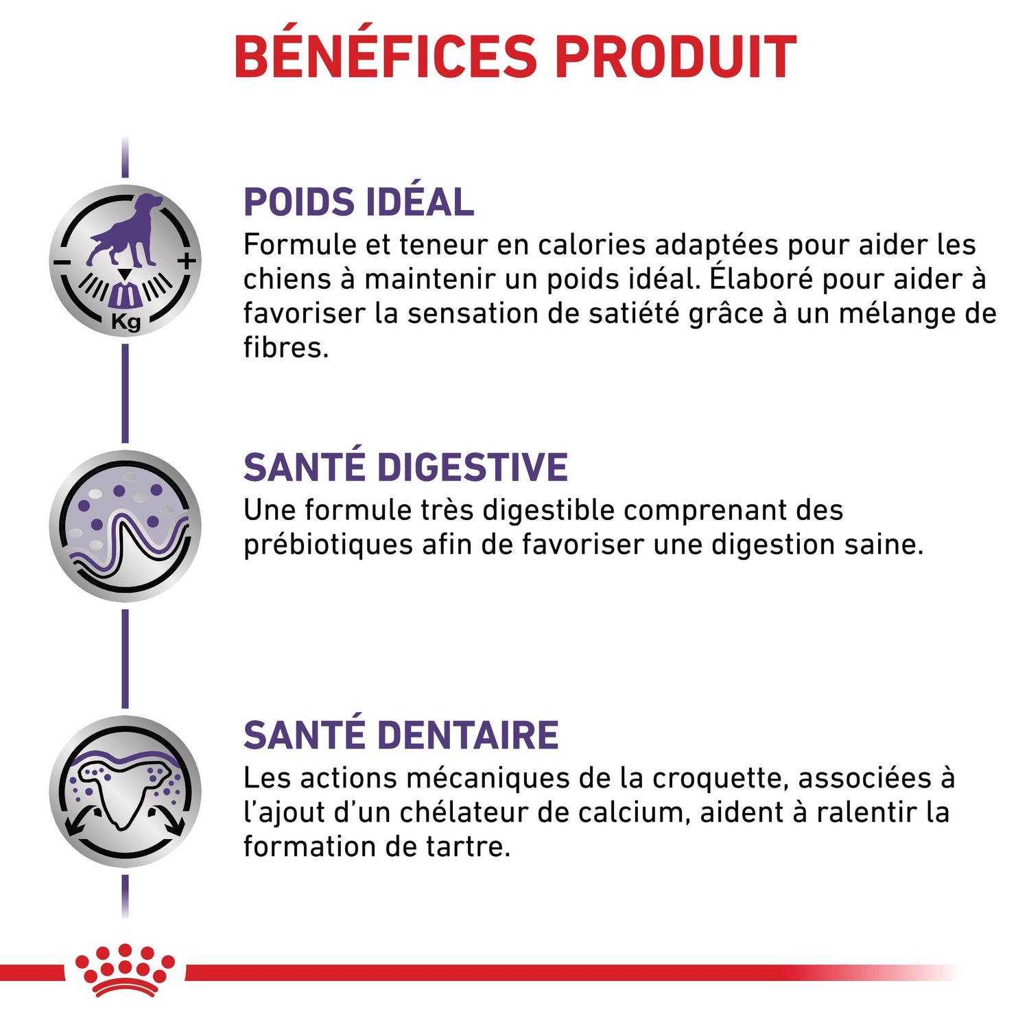 Royal Canin Veterinary Neutered Adult Small Dog - croquettes chien