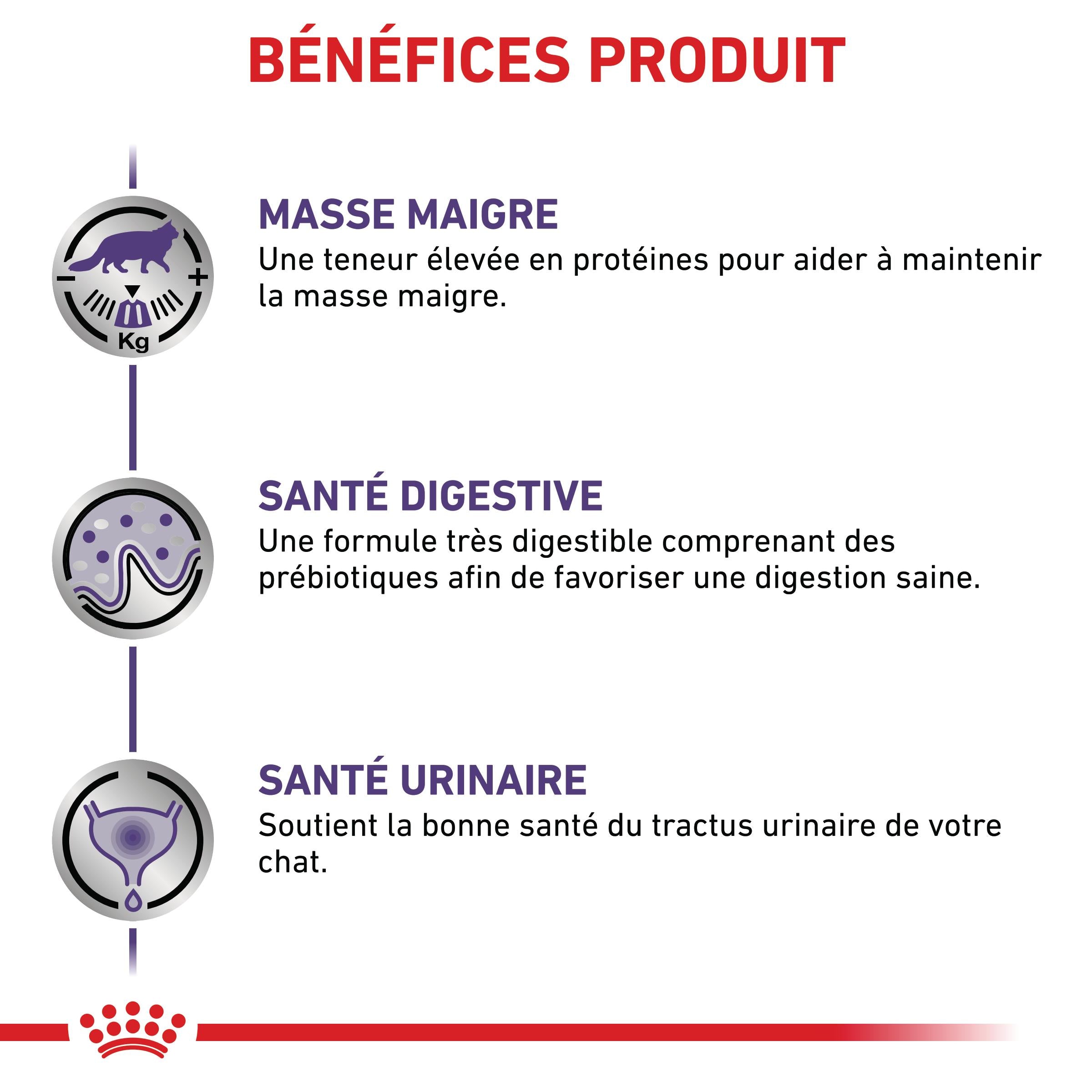 Royal Canin Neutered Balance - pâtée chat