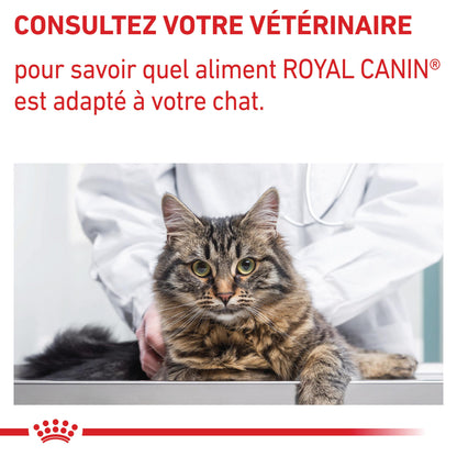 Royal Canin Neutered Balance - pâtée chat