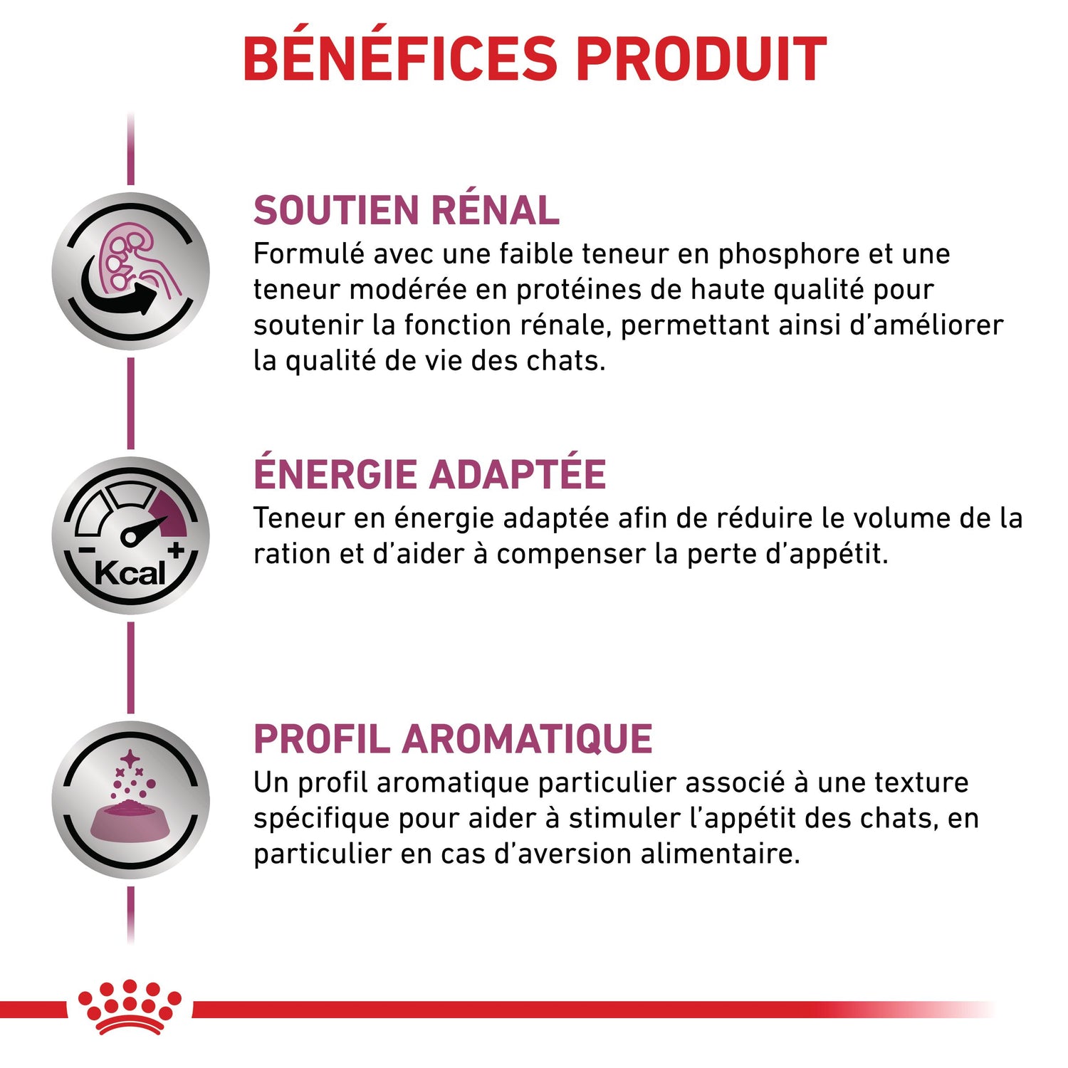 Royal Canin Veterinary Renal - aliment chat