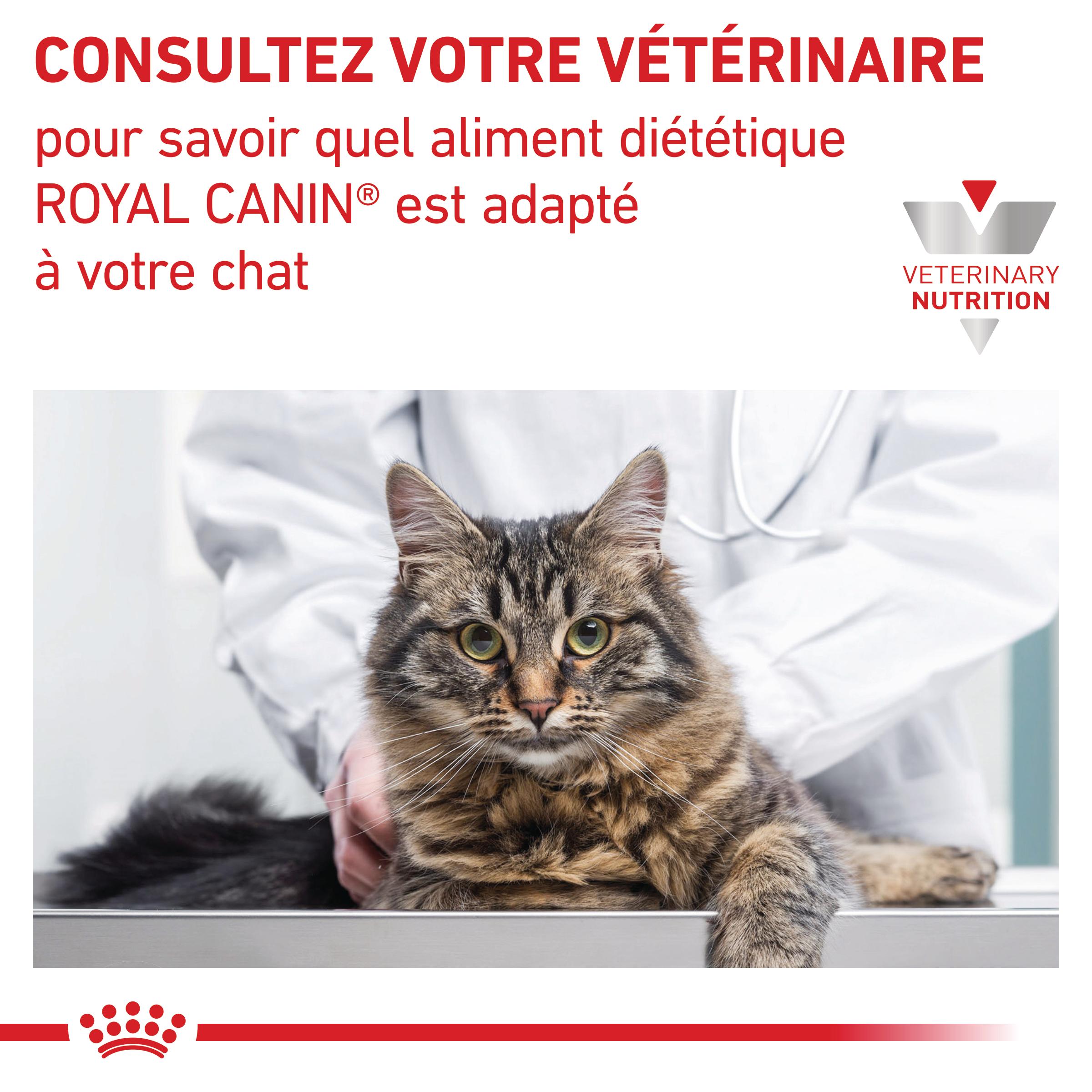 Royal Canin Veterinary Renal - aliment chat