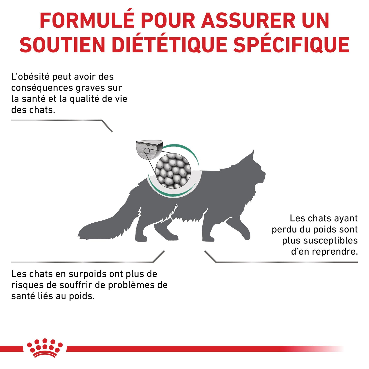 Royal Canin Veterinary Satiety Weight Management - aliment chat