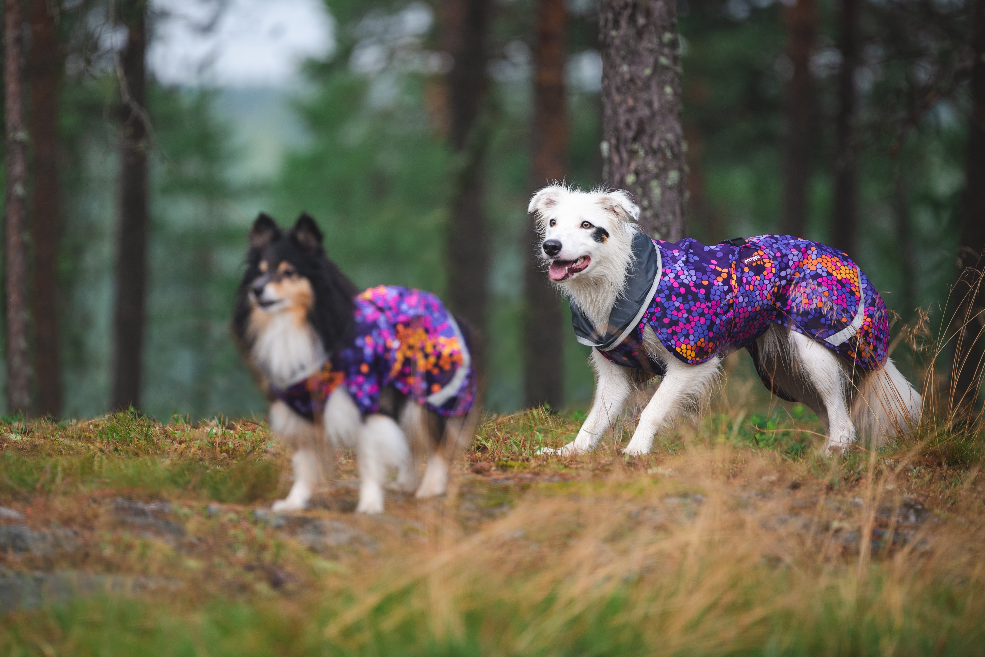 Pomppa Sade manteau imperméable pour chien Cosmos
