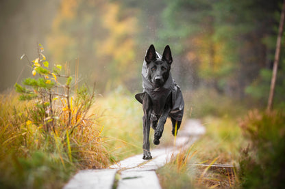 Pomppa Sade Graphite manteau imperméable chien