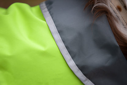 Pomppa Sade manteau imperméable pour chien Lime