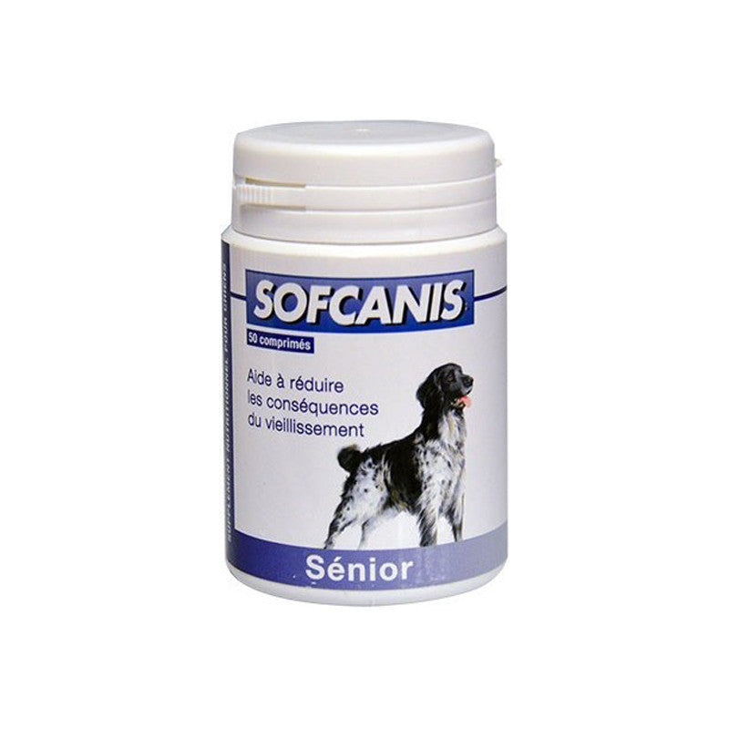 Sofcanis Sénior chien