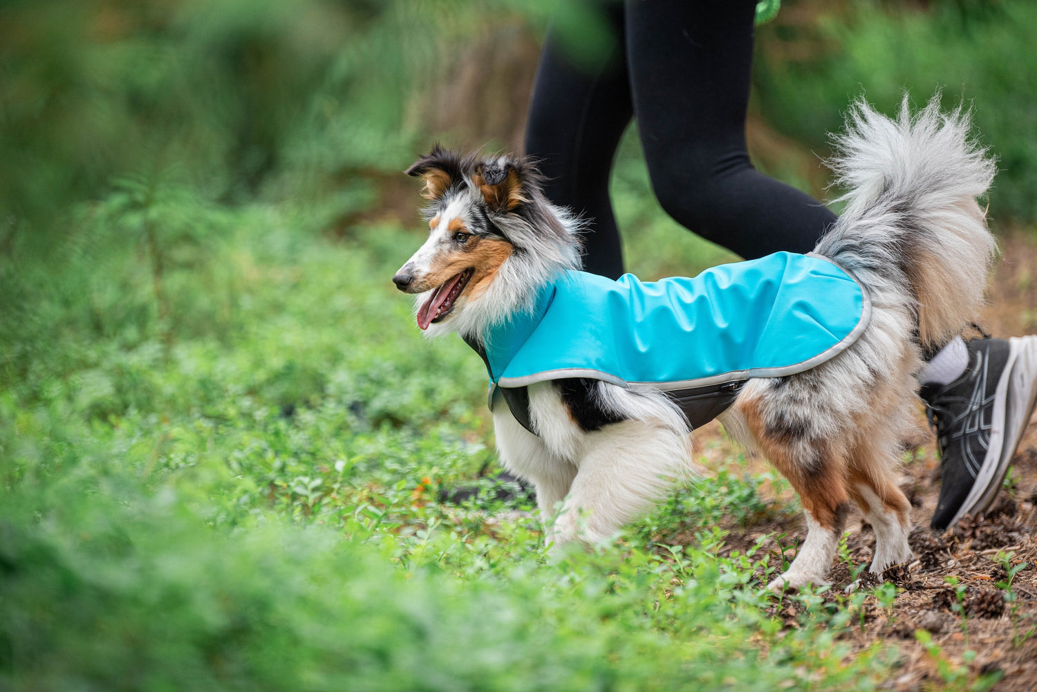 Pomppa Sportti Artic manteau imperméable et chaud chien