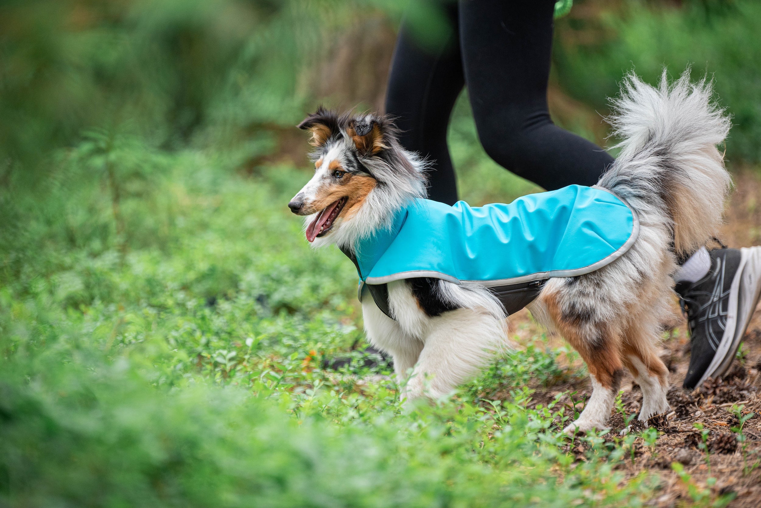 Pomppa Sportti Artic manteau imperméable et chaud chien