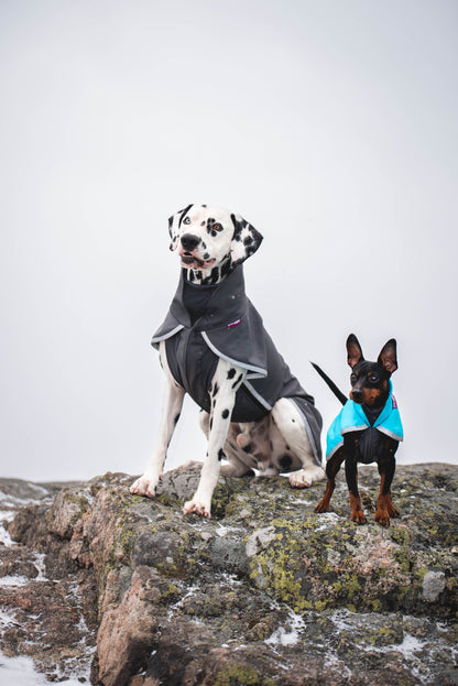 Pomppa Sportti Graphite manteau imperméable et chaud - chien