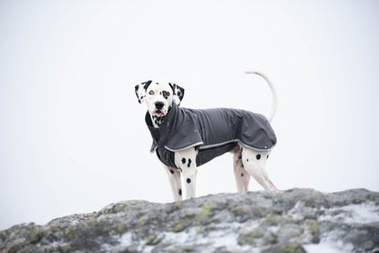 Pomppa Sportti Graphite manteau imperméable et chaud - chien