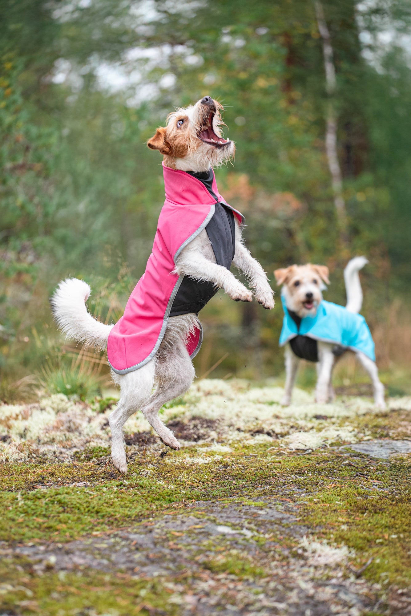 Pomppa Sportti Pink - manteau imperméable et chaud chien