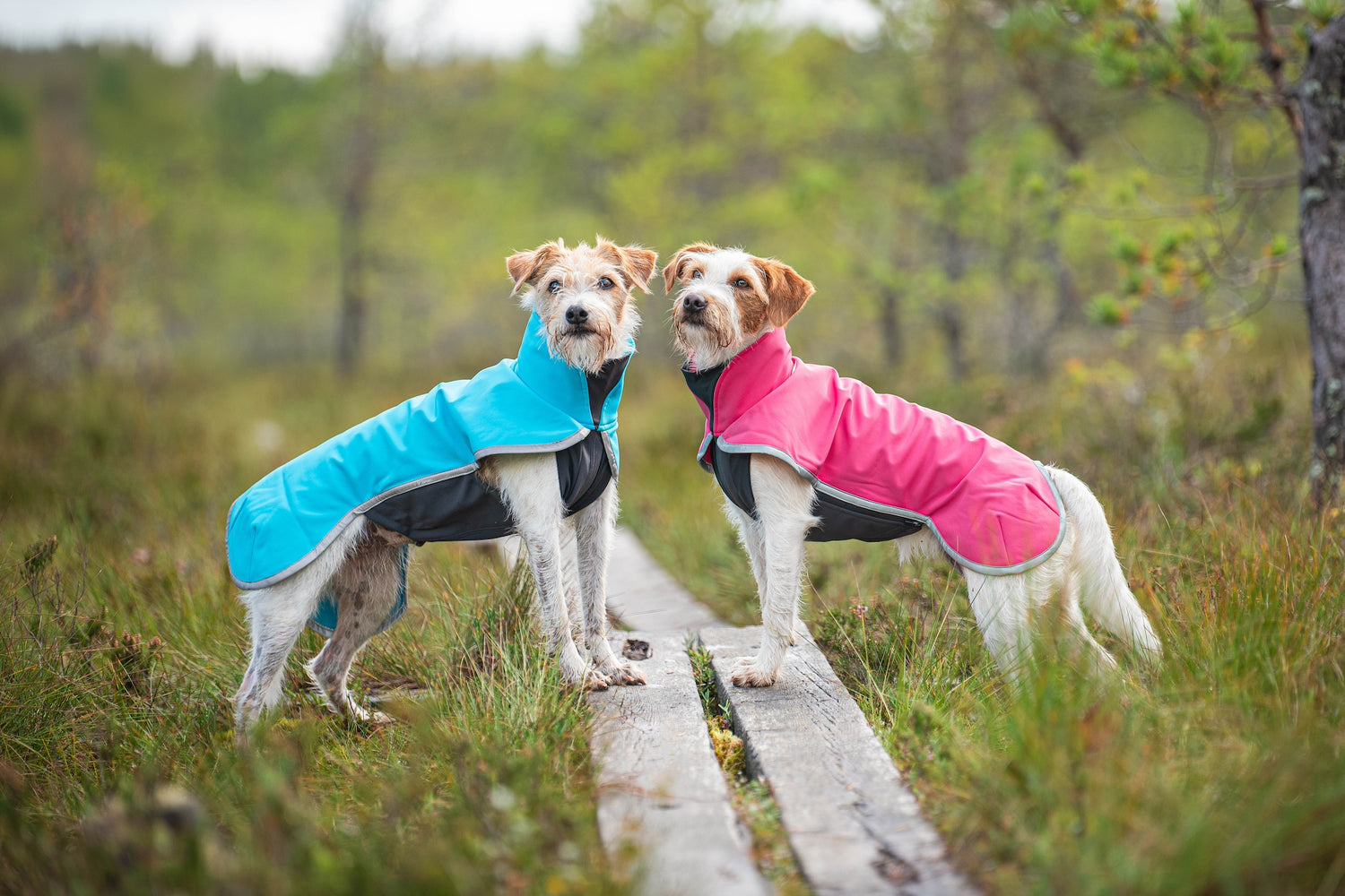 Pomppa Sportti Artic manteau imperméable et chaud chien