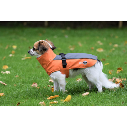 Bobby - Chien - Manteau Technic