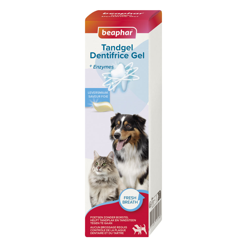Dentifrice haleine fraîche