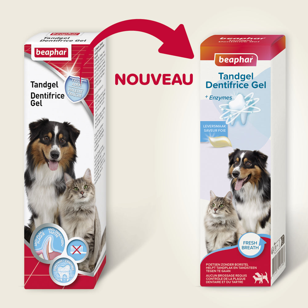 Dentifrice haleine fraîche