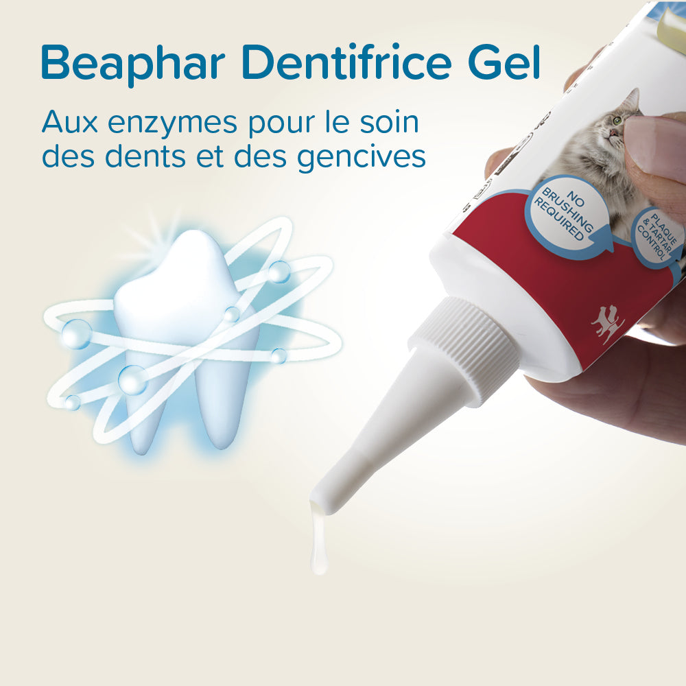 Dentifrice haleine fraîche
