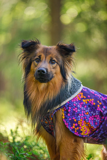 Pomppa Toppa Cosmos manteau imperméable doublé pour chien