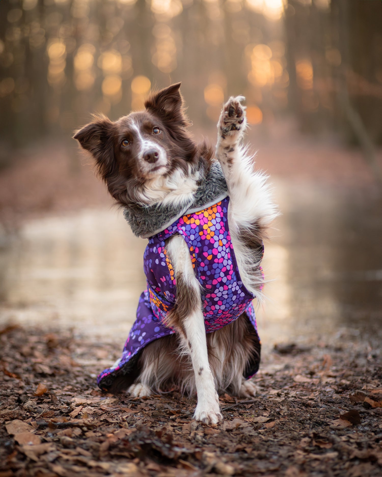 Pomppa Toppa Cosmos manteau imperméable doublé pour chien