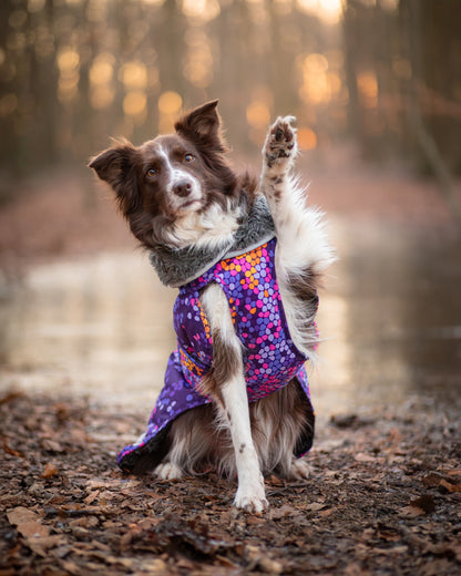 Pomppa Toppa Cosmos manteau imperméable doublé pour chien